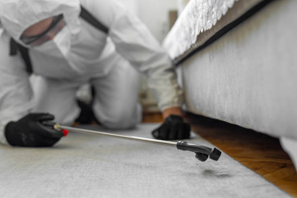 Professional Termite Control technician working in Whitley County County, IN
